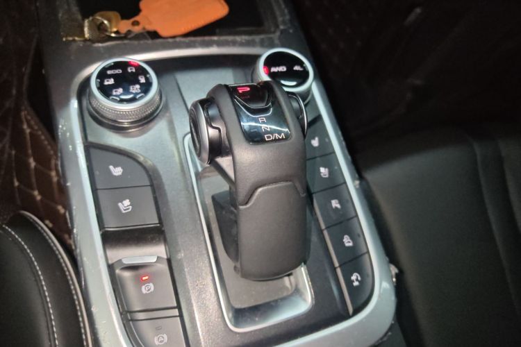 Tank 300 2023 immagine di auto #20