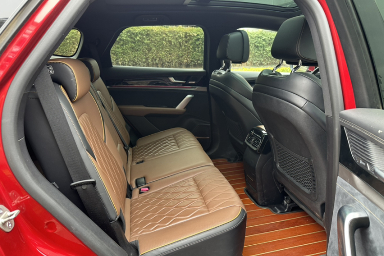 BYD Tang New Energy 2022 car image #20