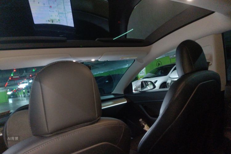 Tesla Model 3 2021 #20 Tesla Model 3 2021 car image #20