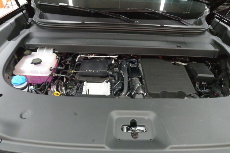 FangChengBao Tiger 7 2025 car image #20