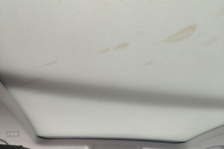 Volkswagen Passat New Energy 2019 #20 Volkswagen Passat New Energy 2019 صورة سيارة #20