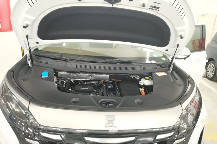 BYD Xia 2024 imagen de coche #20