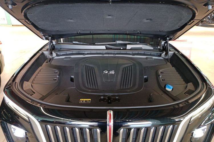 HongQi E-HS9 2021 صورة سيارة #20