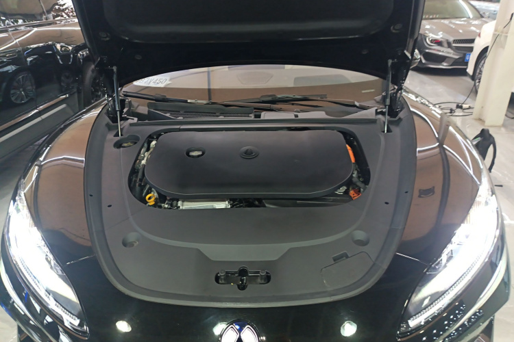 Denza Z9 2024 immagine di auto #20