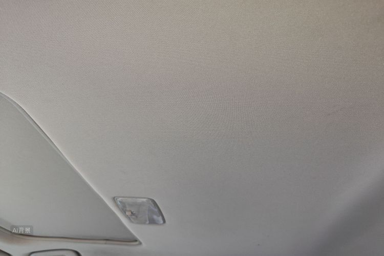 卡罗拉 2014 汽车图片 #20