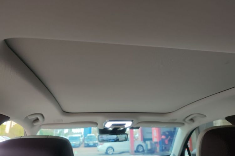 HongQi H9 2021 car image #20