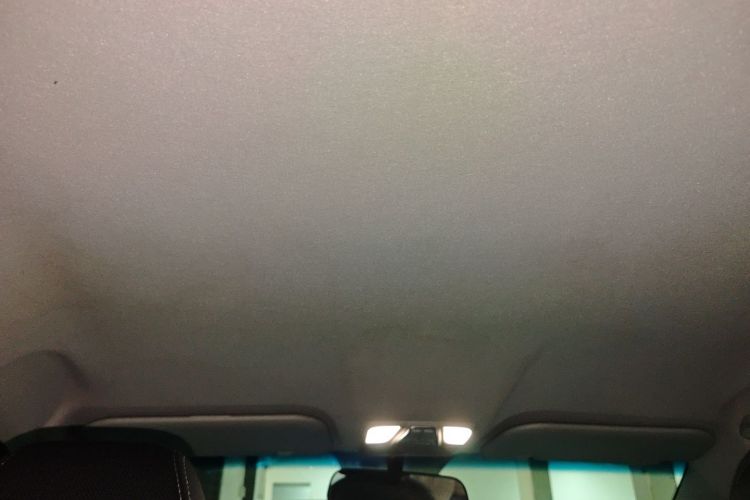 X70M 2020 car image #20