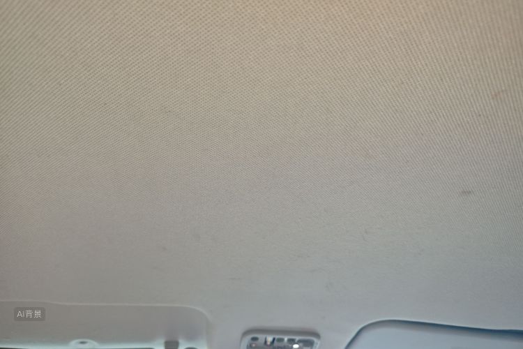 Forthing S500 2015 car image #20