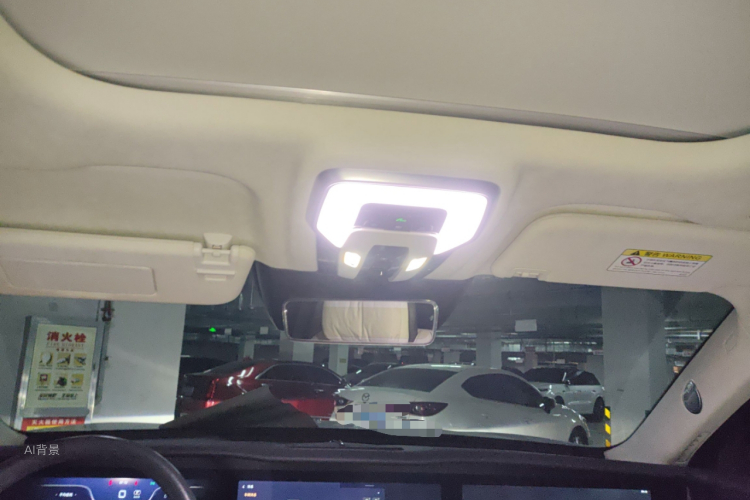 HongQi E-HS9 2022 car image #20