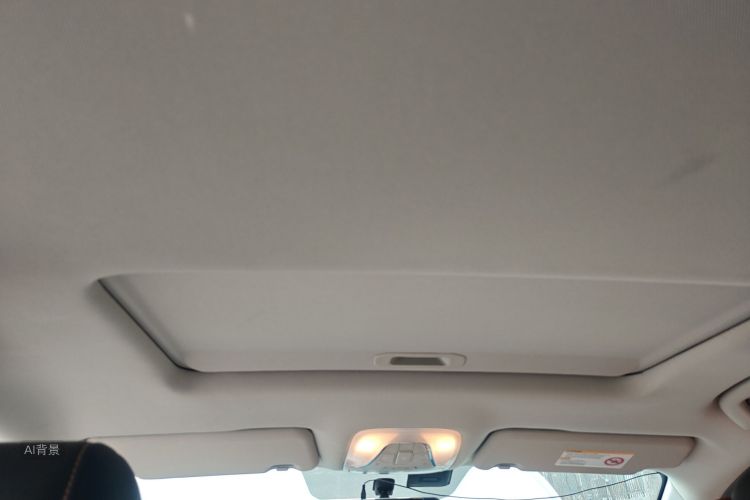 GAC Qizhi EV 2019 car image #20