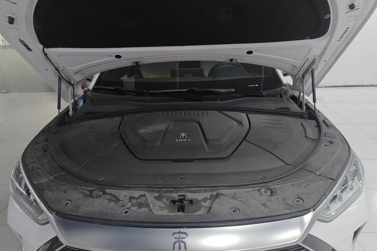 BYD Song Plus New Energy 2022 car image #20