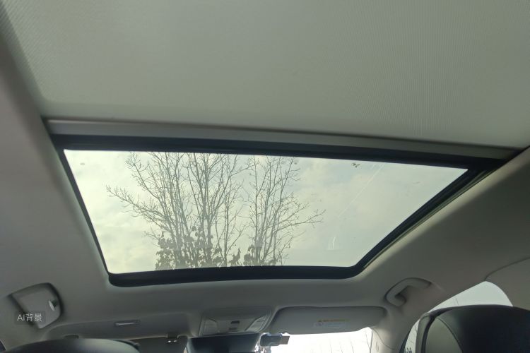 HongQi HS5 2020 car image #20