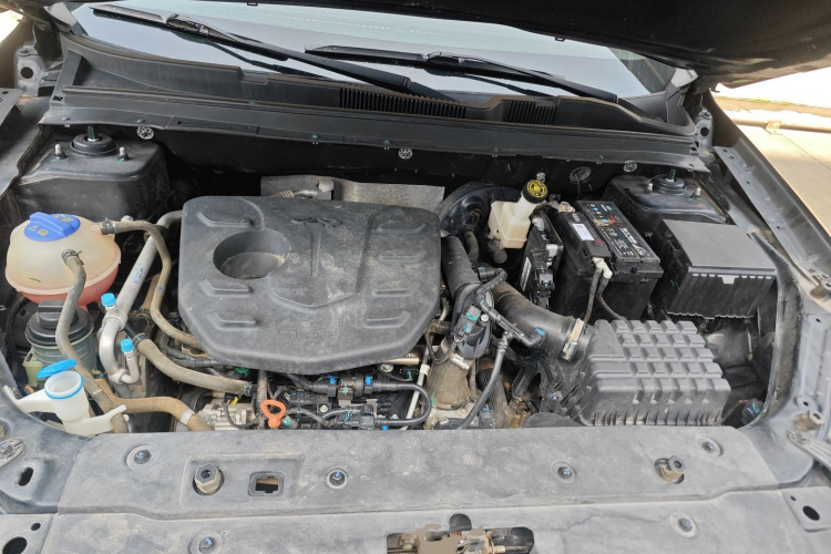 X70M 2021 car image #20