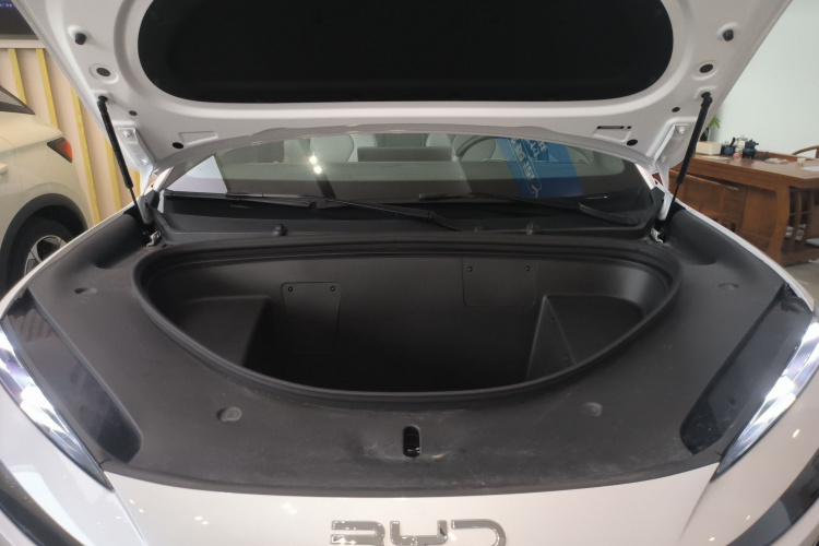 BYD Sea Lion 06 New Energy 2025 car image #20