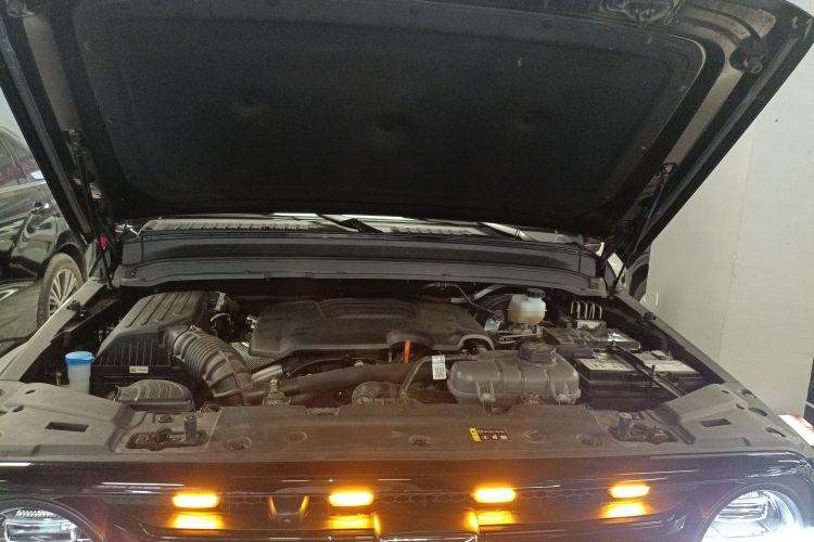 Tank 300 2025 car image #20