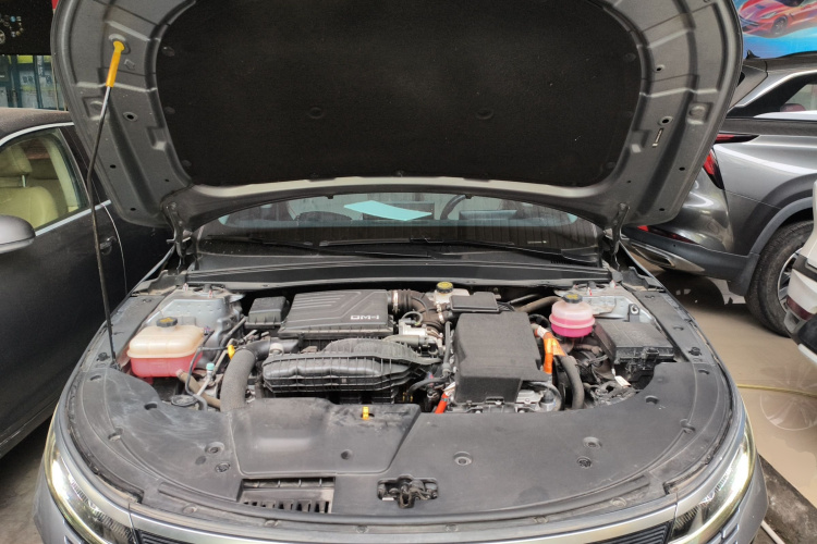 BYD Destroyer 05 2023 imagen de coche #20