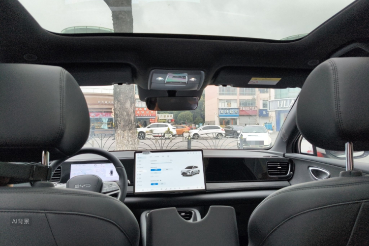 BYD Sea Lion 06 New Energy 2025 car image #20