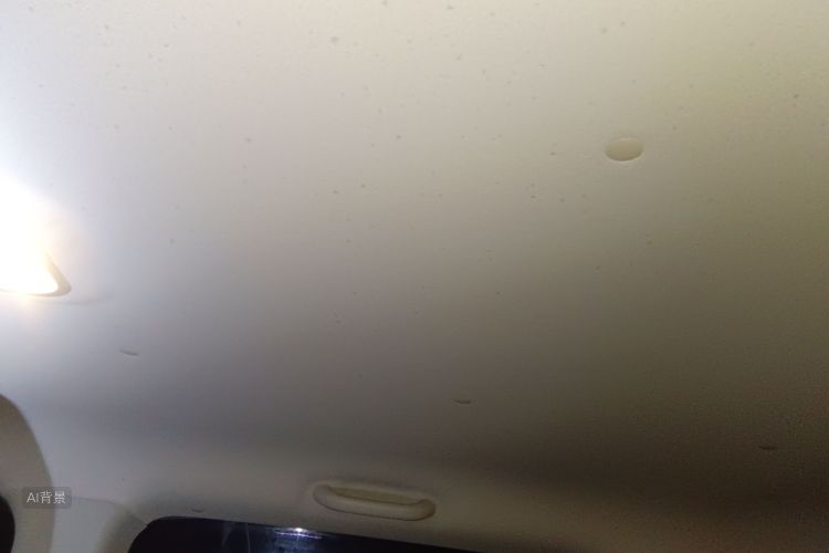 JAC 2022 #20 JAC 2022 car image #20