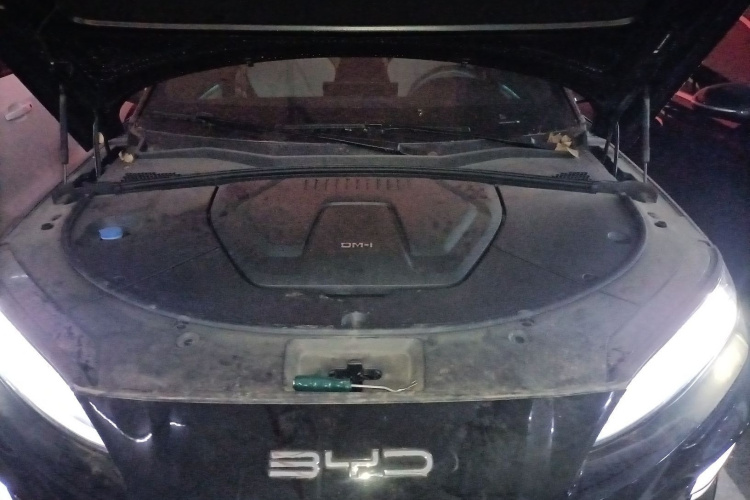 BYD Song Plus New Energy 2023 #20 BYD Song Plus New Energy 2023 car image #20