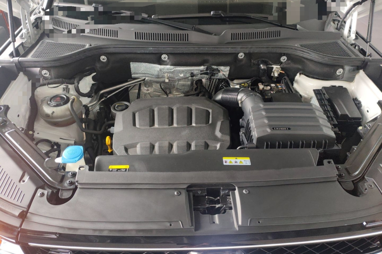 Volkswagen Tavendor 2023 car image #20