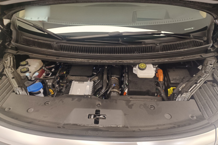 Denza D9 2025 immagine di auto #20