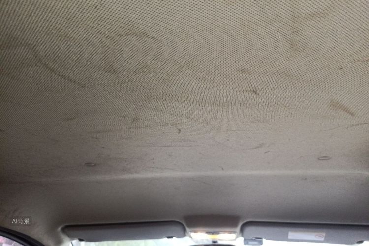 JAC 2016 #20 JAC 2016 car image #20