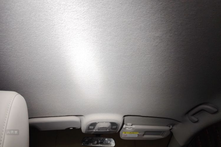 BYD Yuan Pro 2021 immagine di auto #20