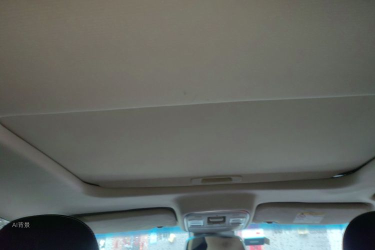 Emgrand GL 2019 #20 Emgrand GL 2019 car image #20