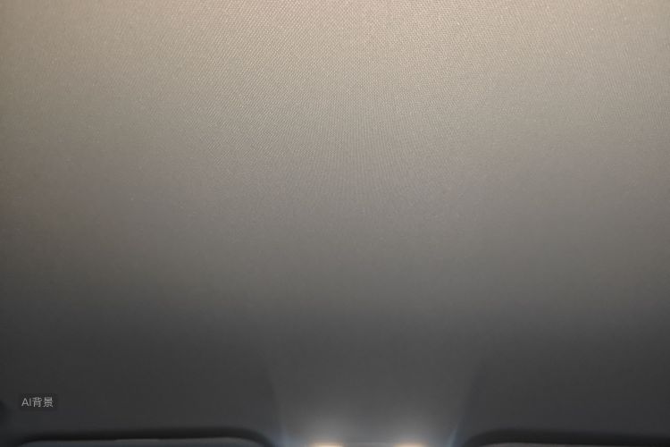 X70 PLUS 2021 car image #20