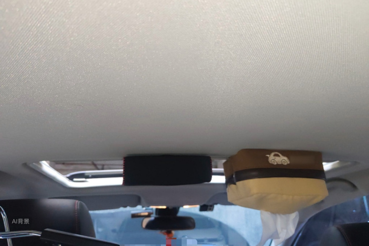 Soueast DX3 2017 car image #20