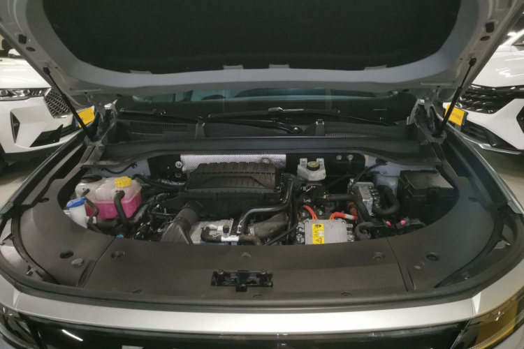 Exceed Yaoguang C-DM 2024 car image #20