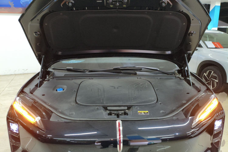 HongQi TianGong 08 2025 car image #20