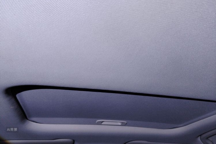 Vision X3 2021 car image #20