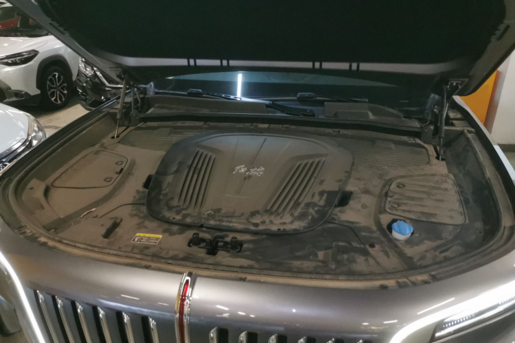 HongQi E-HS9 2023 car image #20