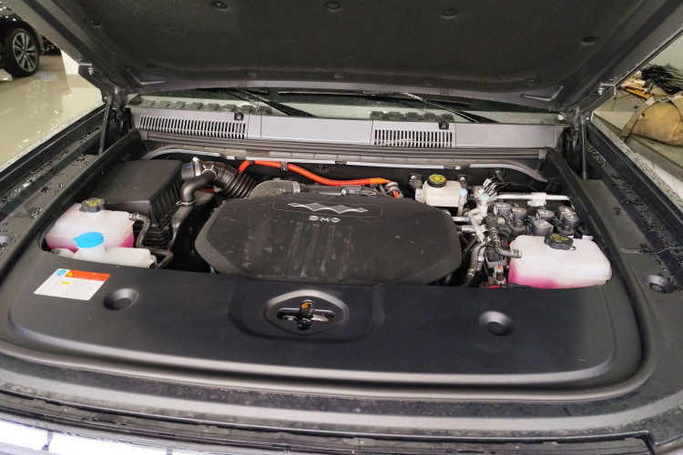 FangChengBao Leopard 5 2024 immagine di auto #20