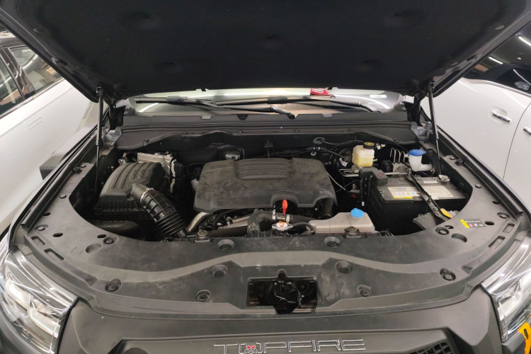 Great Wall Poer 2023 car image #20