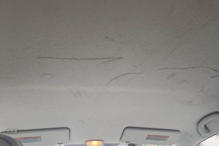 Suzuki Alto 2017 imagen de coche #20