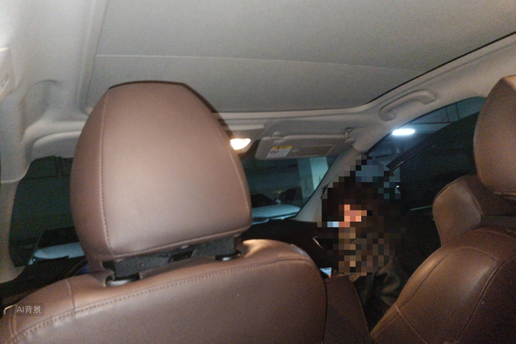 日产 逍客 2020 汽车图片 #20