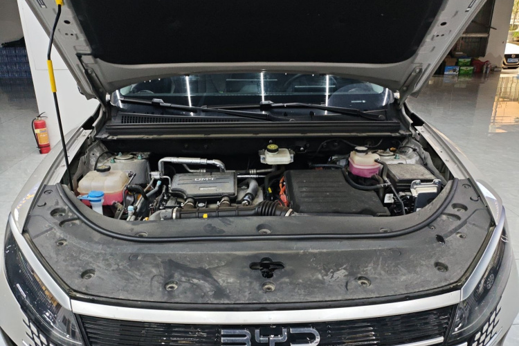 BYD Sea Lion 05 DM-i 2024 car image #20