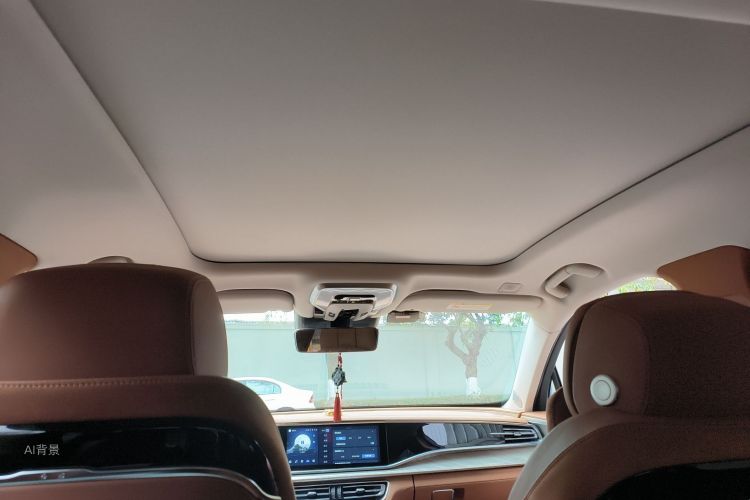 HongQi H9 2022 car image #20