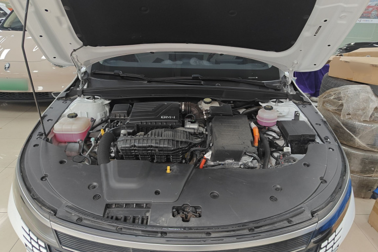 BYD Destroyer 05 2023 imagen de coche #20