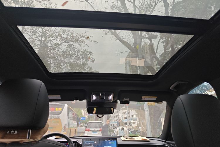 GAC Trumpchi GS8 2022 car image #20