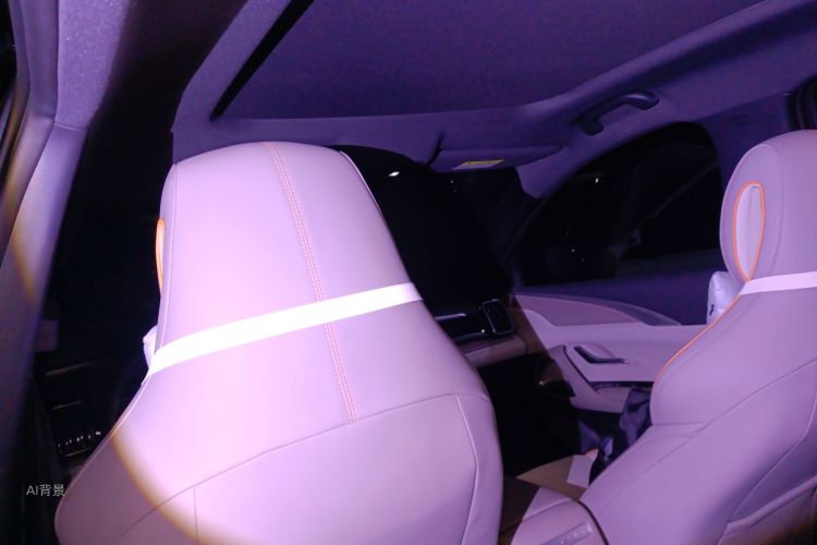 BYD Song Pro New Energy 2023 car image #20