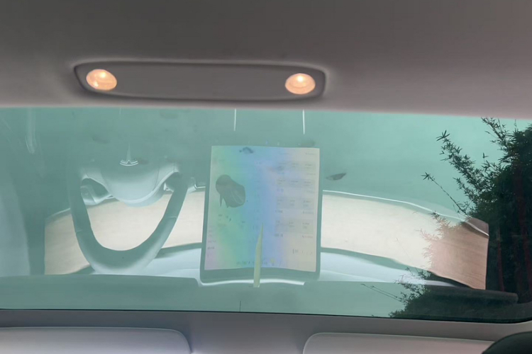 特斯拉 Model 3 2020 汽车图片 #20