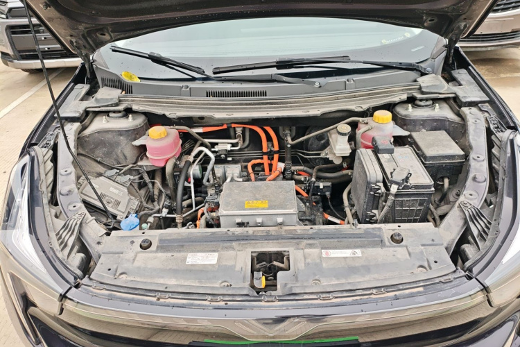 Neta U 2021 image de voiture #20