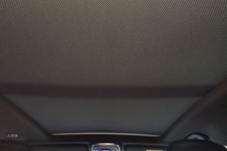 Denza X 2021 immagine di auto #20