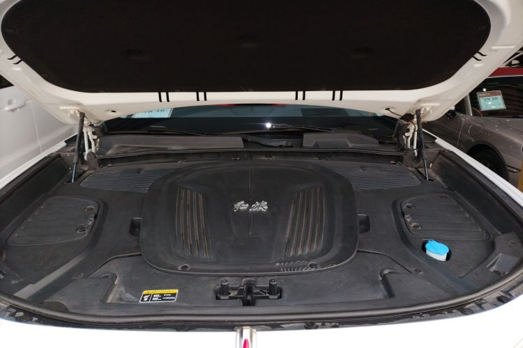 HongQi E-HS9 2021 imagem de carro #20