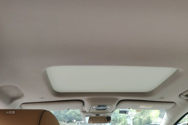 Denza D9 2023 imagem de carro #20