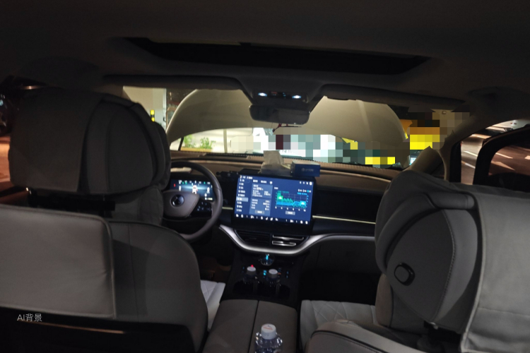 Denza D9 2023 imagen de coche #20