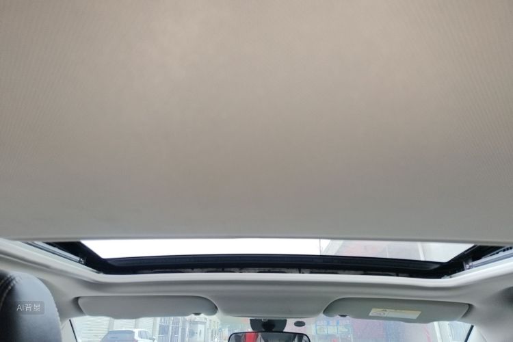 Soueast DX3 2020 car image #20